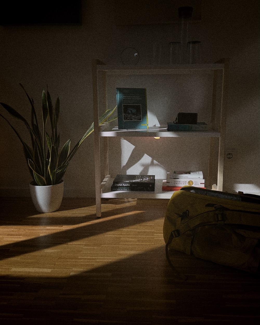 Afternoon In The Office